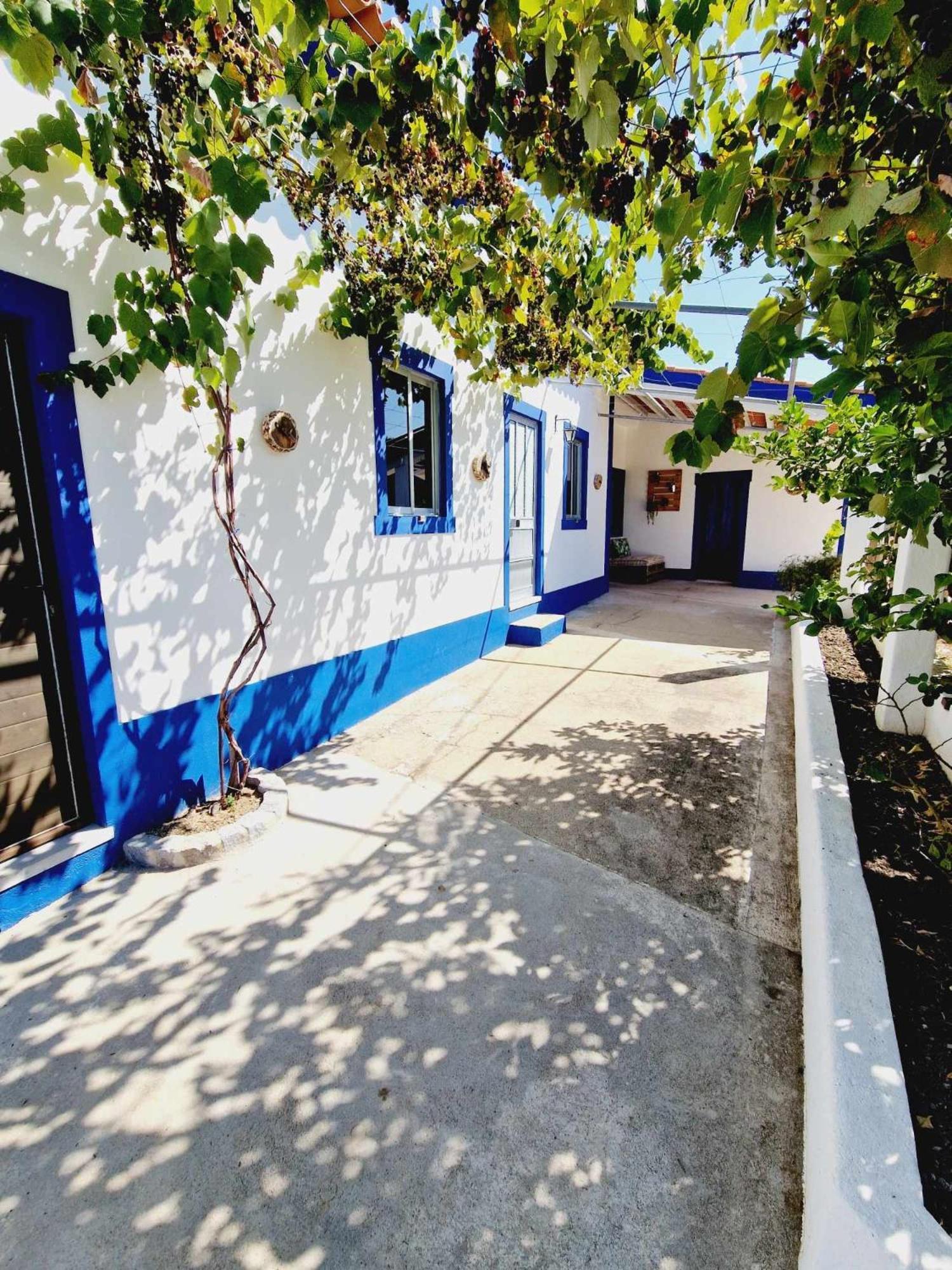 Casa Dos Martelitos Villa Salgueira  Екстериор снимка
